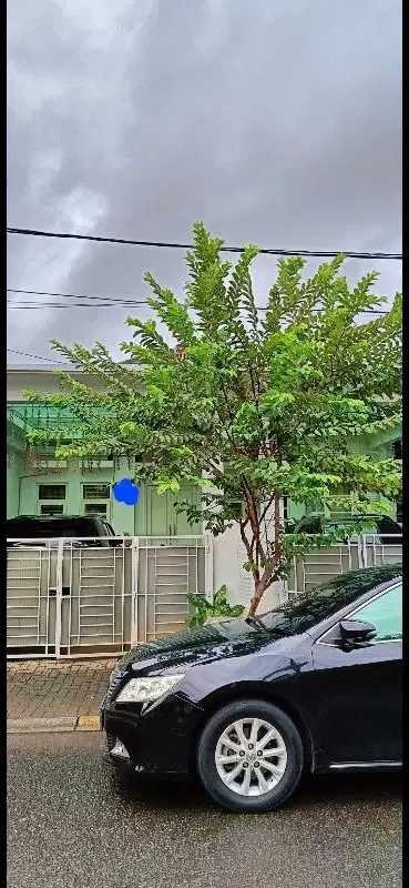 Di Jual Rumah Siap Huni di CIBUBUR COUNTRY CIKEAS