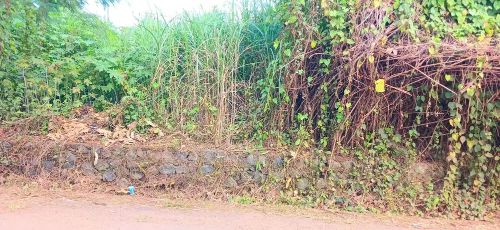 Tanah 4258 m2 Di Keramas Blahbatuh Gianyar Bali