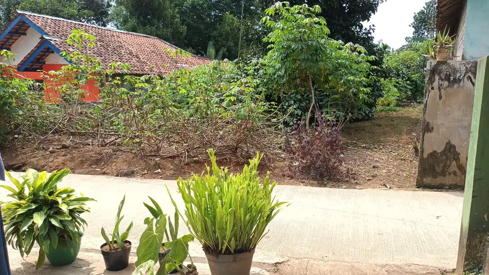 Dijual Murah Tanah Cocok Rumah Pinggir Jl Desa di Wanayasa Purwakarta