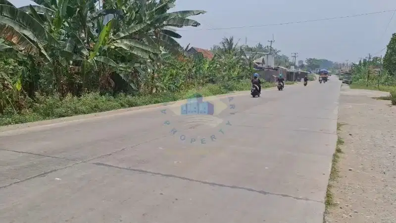 Di Jual Tanah Industri di Bojot Jawilan Cikande Serang Banten