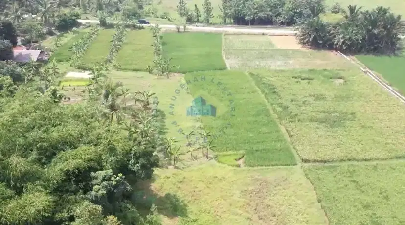 Jual Tanah di DS. Kemuning, Tunjung Teja, Serang, Banten