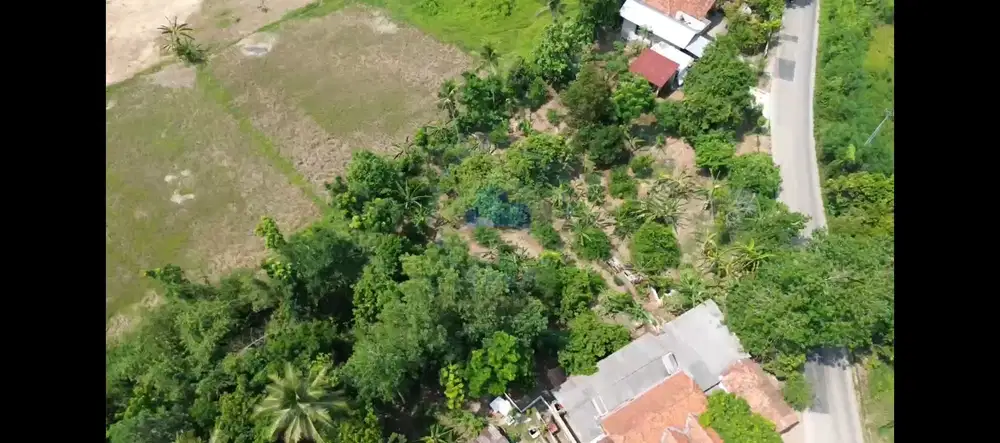 Jual Tanah di Singabraja, Jalan Raya Tenjo - Kabupaten Bogor