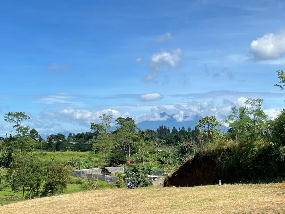 Jual cepat murah tanah shm di cisarua puncak bogor