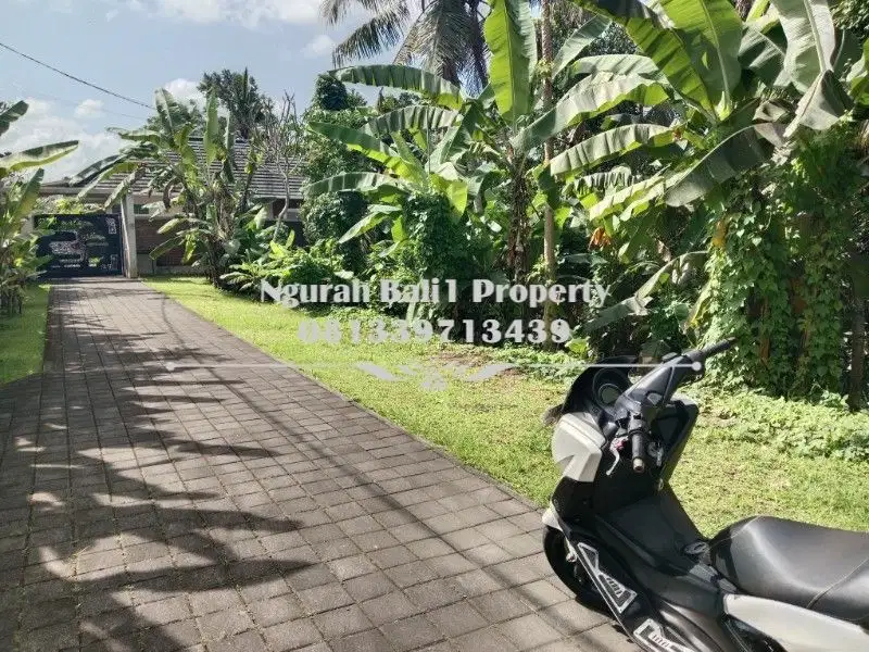 Disewakan Tanah Premium Murah Luas 7 Are di Ubud Gianyar Bali