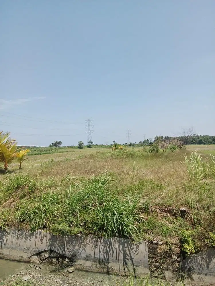 TANAH DEKAT BANDARA YIA HANYA 3 MENIT KULON PROGO, JOGJA