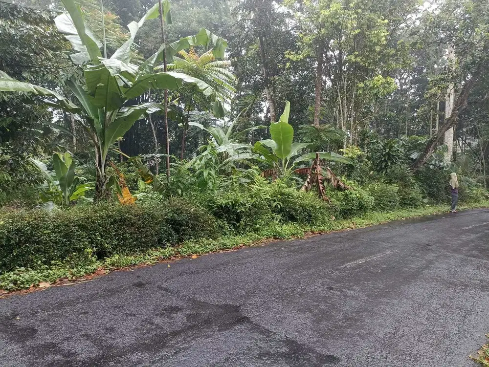 Tanah SHM di Argomulyo Salatiga dekat Jl Lingkar, RS Puri Asri,RS Paru