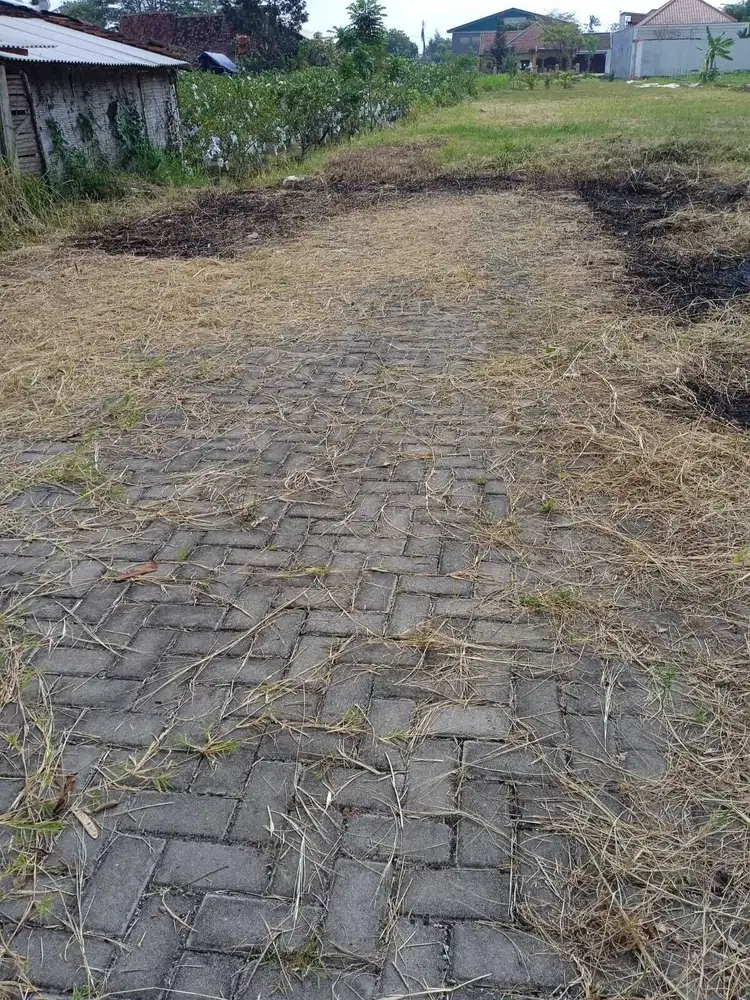 Tanah Damai Mangku Jalan Aspal; View Persawahan; SHM-Pekarangan