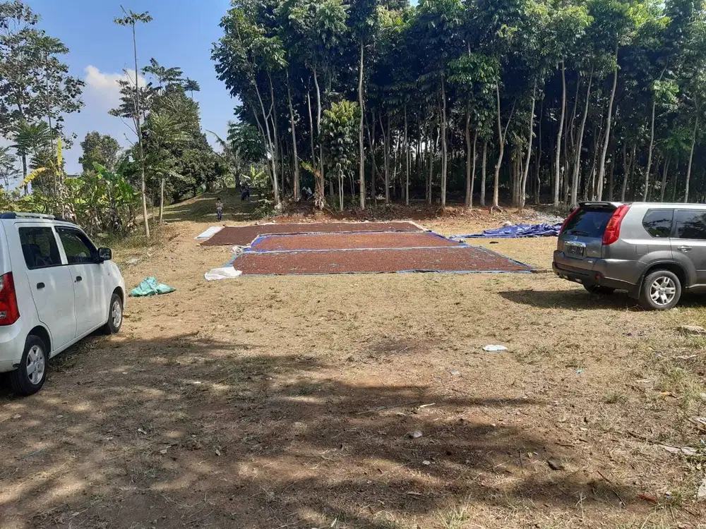 Dijual tanah mainroad di mekar manik Sindanglaya luas 8000lebih