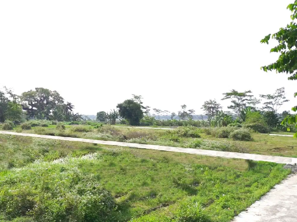 Tanah Jl. Deandels Purworejo Dekat Bandara YIA