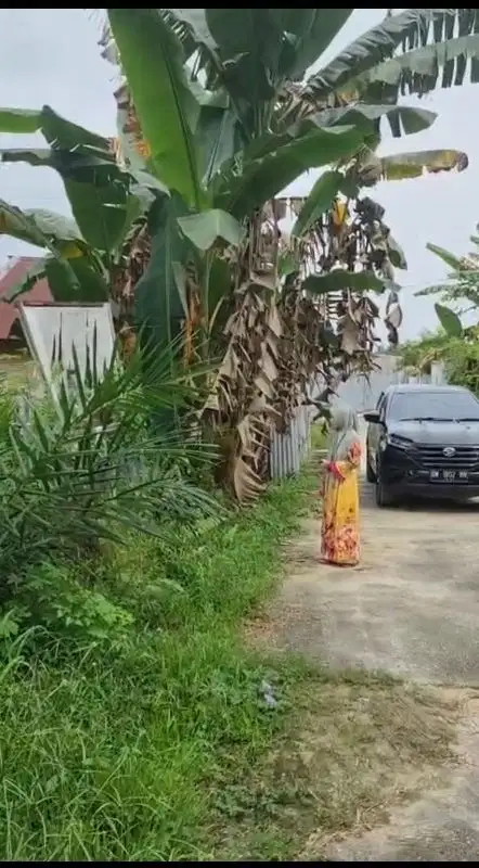 tanah murah jalan Hangtuah ujung Pekanbaru