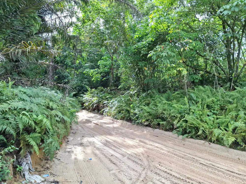 Tanah 3,2ha di kulim pekanbaru, 600m dari jalan lintas