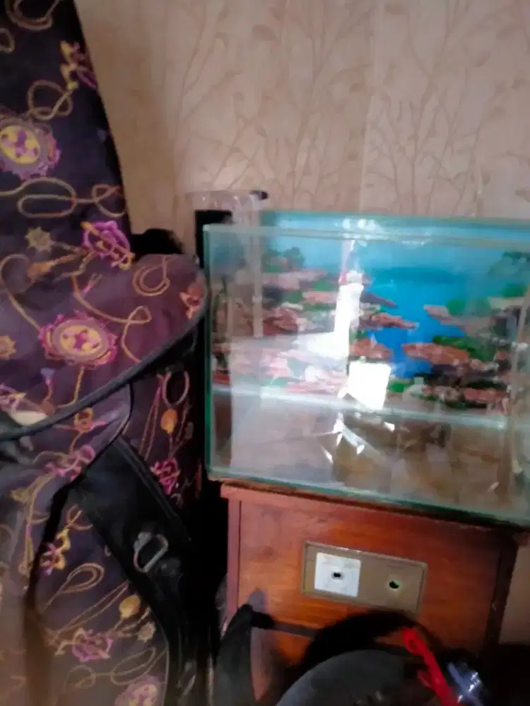 Jual akuarium 50 cm fulset