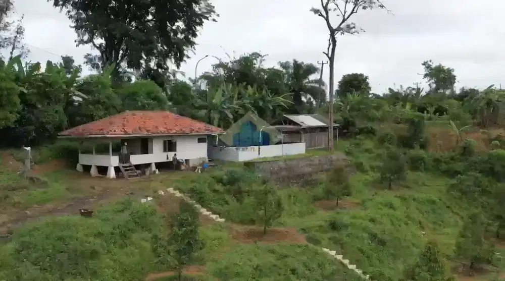 Jual Tanah Perkebunan di Jalan Raya Jasinga, Kabupaten Bogor