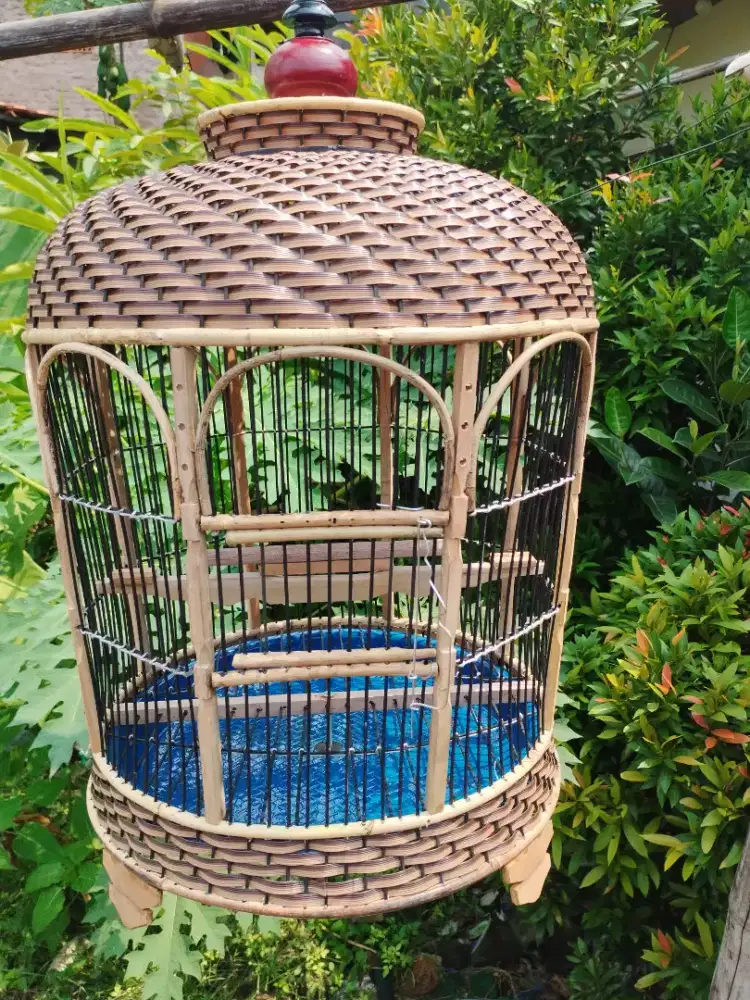 Kandang perkutut mataram