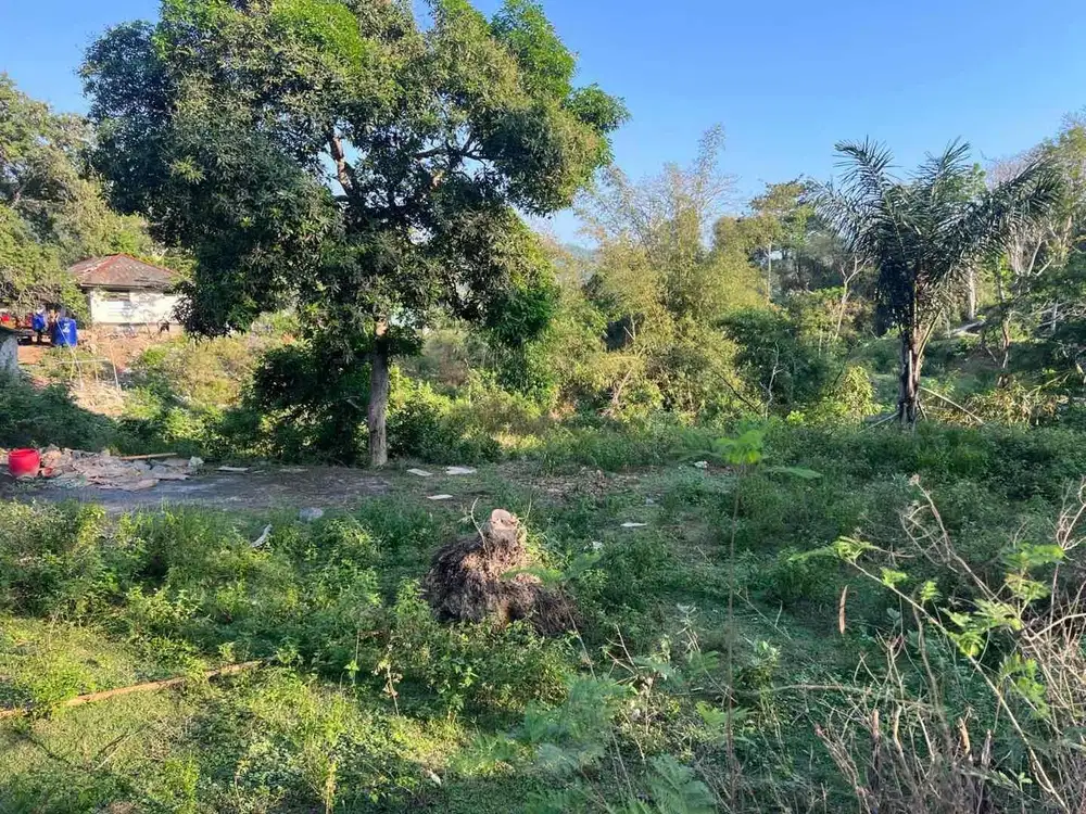 tanah murah dekat central Kuta Mandalika Lombok. cocok untuk villa