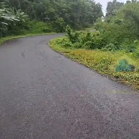 Jual Tanah Murah di Margamulya, Cileles, serang - Banten