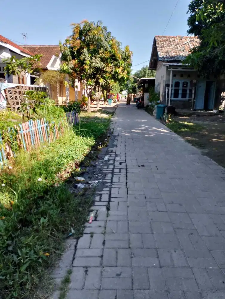 Tanah View Sawah Akses Mobil di Sawah Luhur Kasemen
