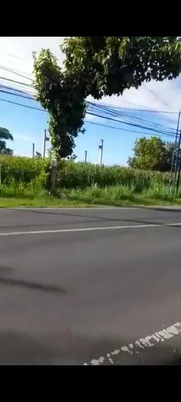 Di Jual Cepat Tanah 10.210 m2 Di Lamongan