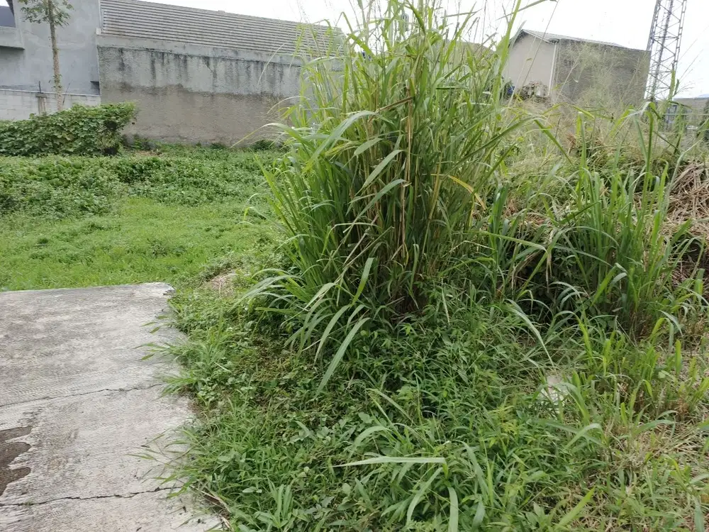 Jual Kavling Bandung Timur Lokasi Dekat jalan raya asri dan nyaman