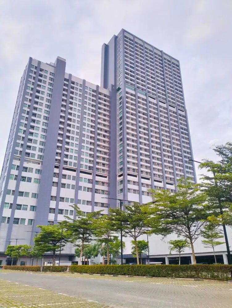 Disewakan unit apartemen embarcadero 1 kamar pet friendly