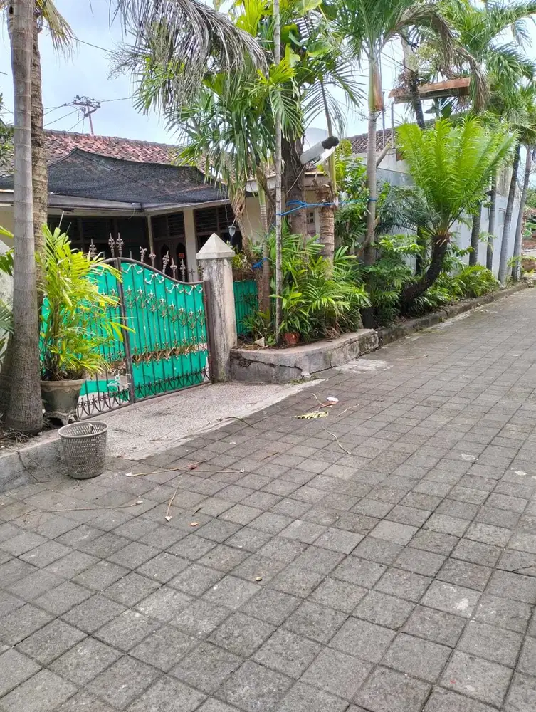 Tanah Isi Bangunan Di Hayam Wuruk Dkt Kampus Warmadewa Renon Sanur