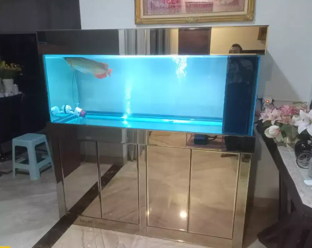 Aquarium kabinet full kaca cermin bronze