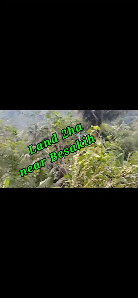 Land 2ha for Sale Location near Besakih area Karangasem Bali
