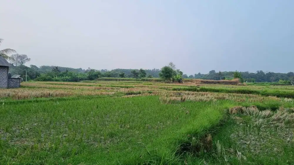 Tanah Murah Di Jalan Utama Bypass Ida Bagus Mantra Lebih Gianyar