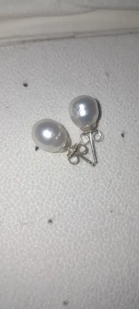 Anting mutiara laut asli