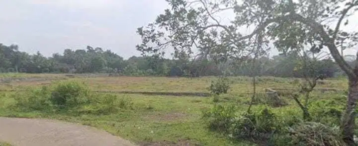 Termurah Jual Tanah Cikeusal Serang 9,5m nego