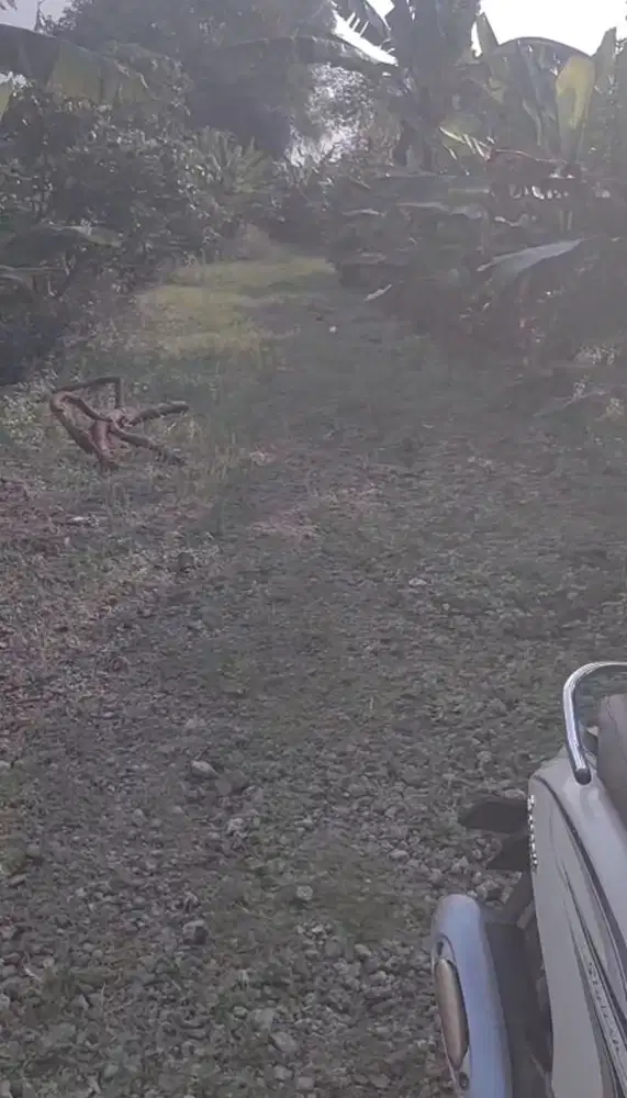 Tanah Sawah 5000 Meter di Rego Petir