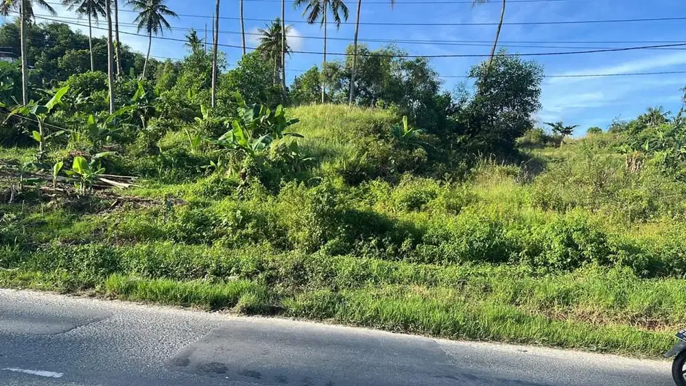 Disewakan tanah jl Manunggal tembus gn. Bakaran