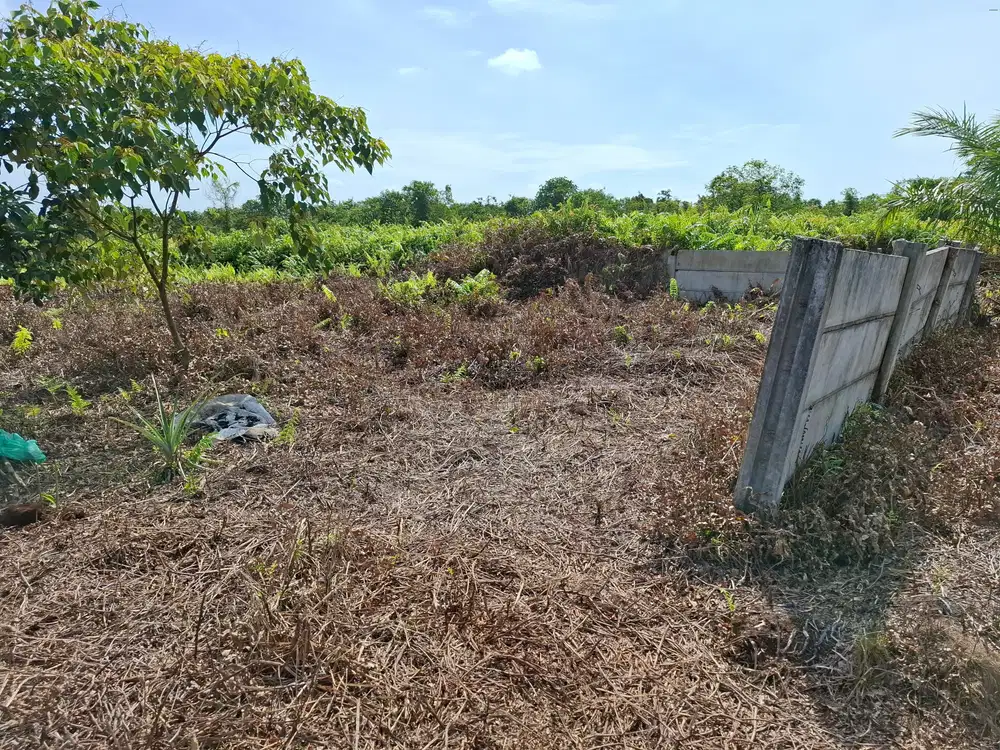 Tanah jl Darma Bakti ujung kota Pekanbaru