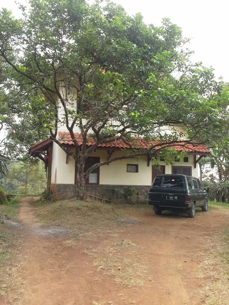 !️JUAL CEPAT!️TANAH DAN BANGUNAN DI WONOSALAM JOMBANG