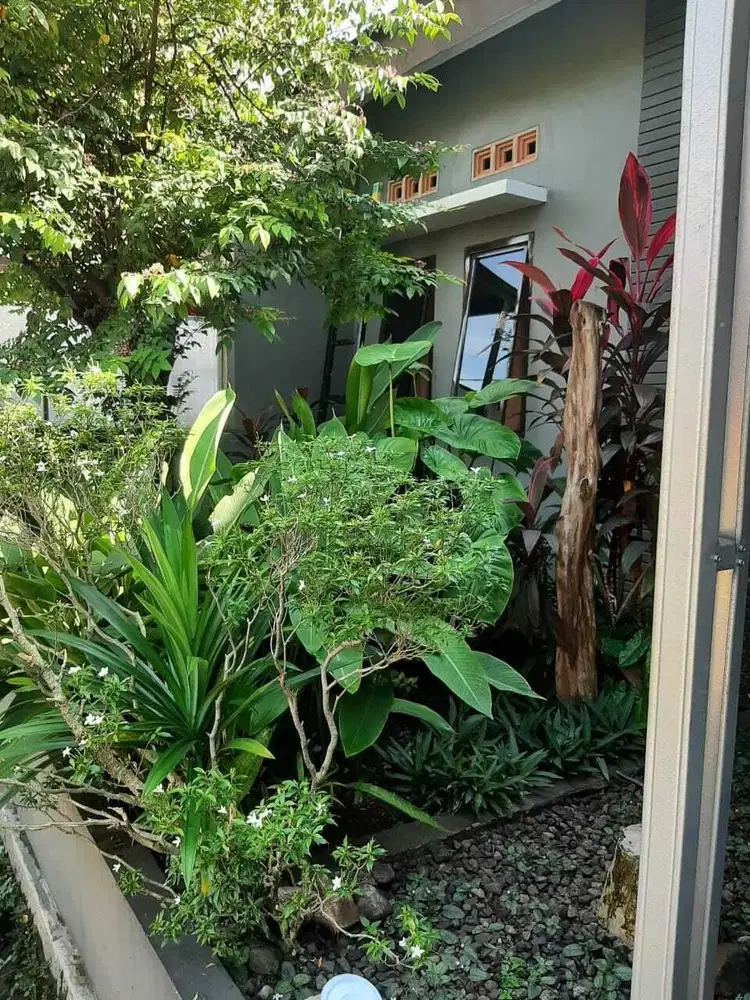 Dijual Rumah 1 Lantai di Dekat Grand Depok City