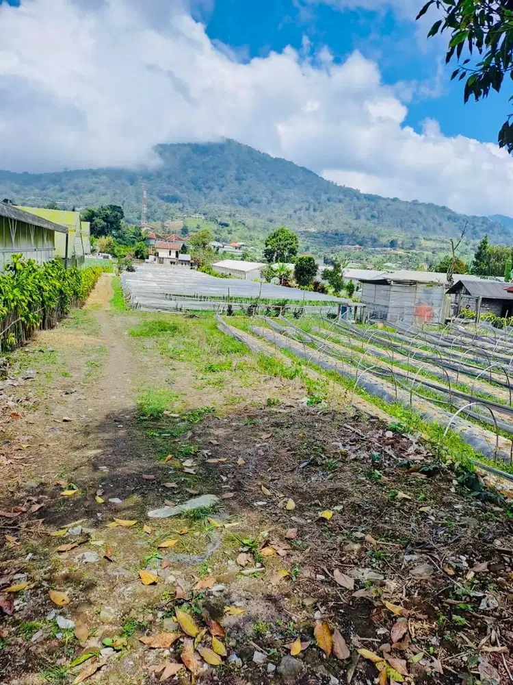 Tanah view danau bedugul bali