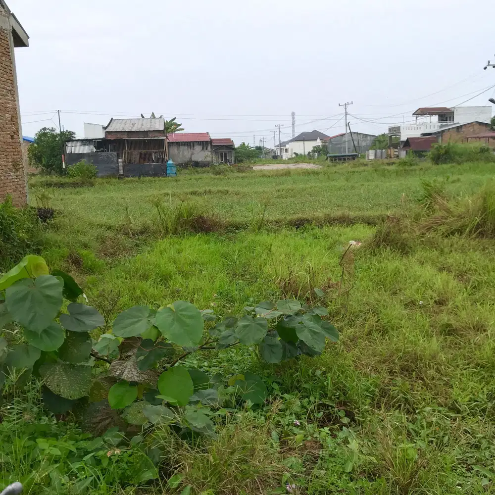 Dijual Tanah Murah Daerah Masih Asri di Sunggal Deli Serdang