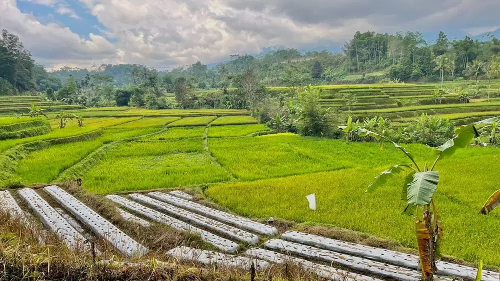 Dijual Murah Tanah Pemandangan Bagus Air Mengalir di Bojong Purwakarta