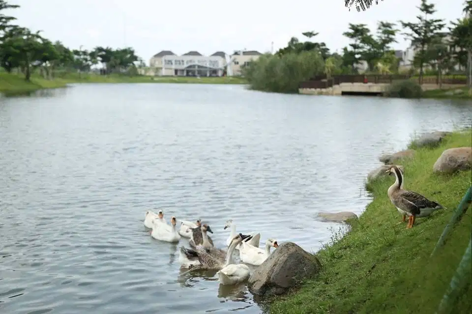 Cluster LOTUS Lakeside Summarecon Bekasi, 12x18 Premium