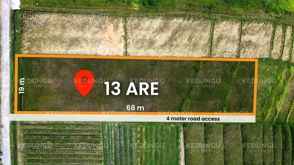 Rare 13-Are Leasehold Land in Kedungu