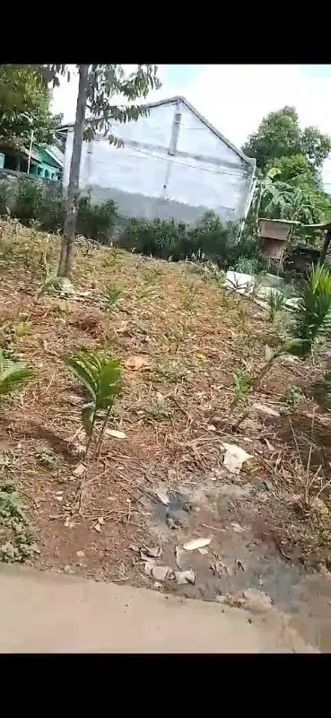 Jual Cepat Kavling Di Belakang Perumahan Bukit Golf Cibubur