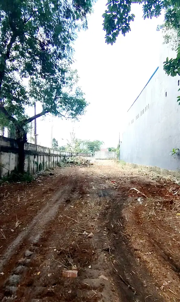 TANAH KAVLING SIAP PAKAI DI JELUPANG SERPONG UTARA