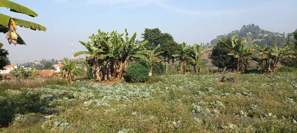 Dijual Tanah Uphill Siap Bangun Shm Cimenyan Bandung