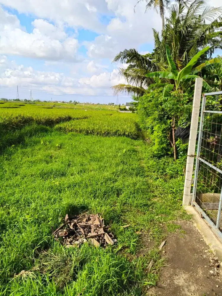 Disewakan tanah lokasi di cepaka selingsing