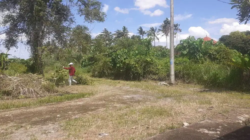 Jual Tanah di Ubud Bali