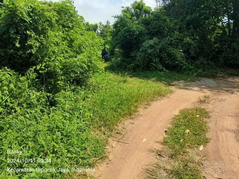tanah belakang kecamatan cipocok kota serang banten.