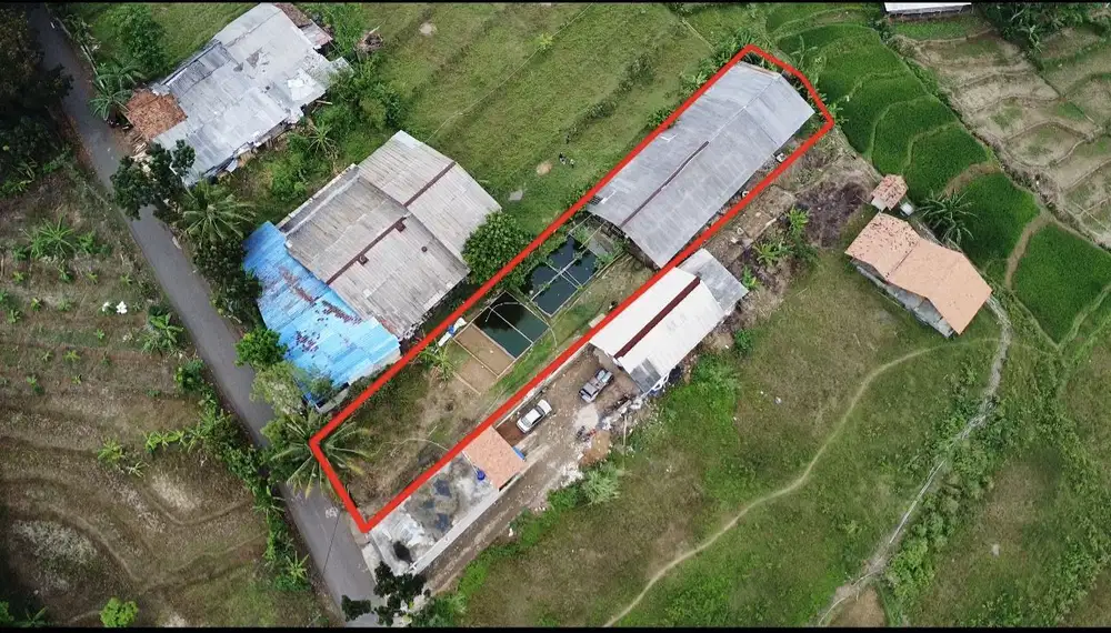 Tanah dan Bangunan Kolam Ikan Budidaya Lele di Purwakarta Dijual Murah