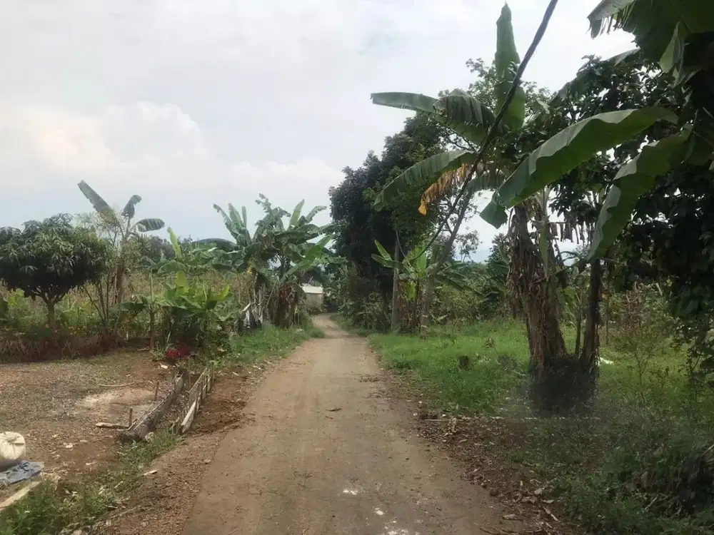 Tanah Pancawati Bogor, Strategis dilalui Tol Ciawi dan Tol Caringin