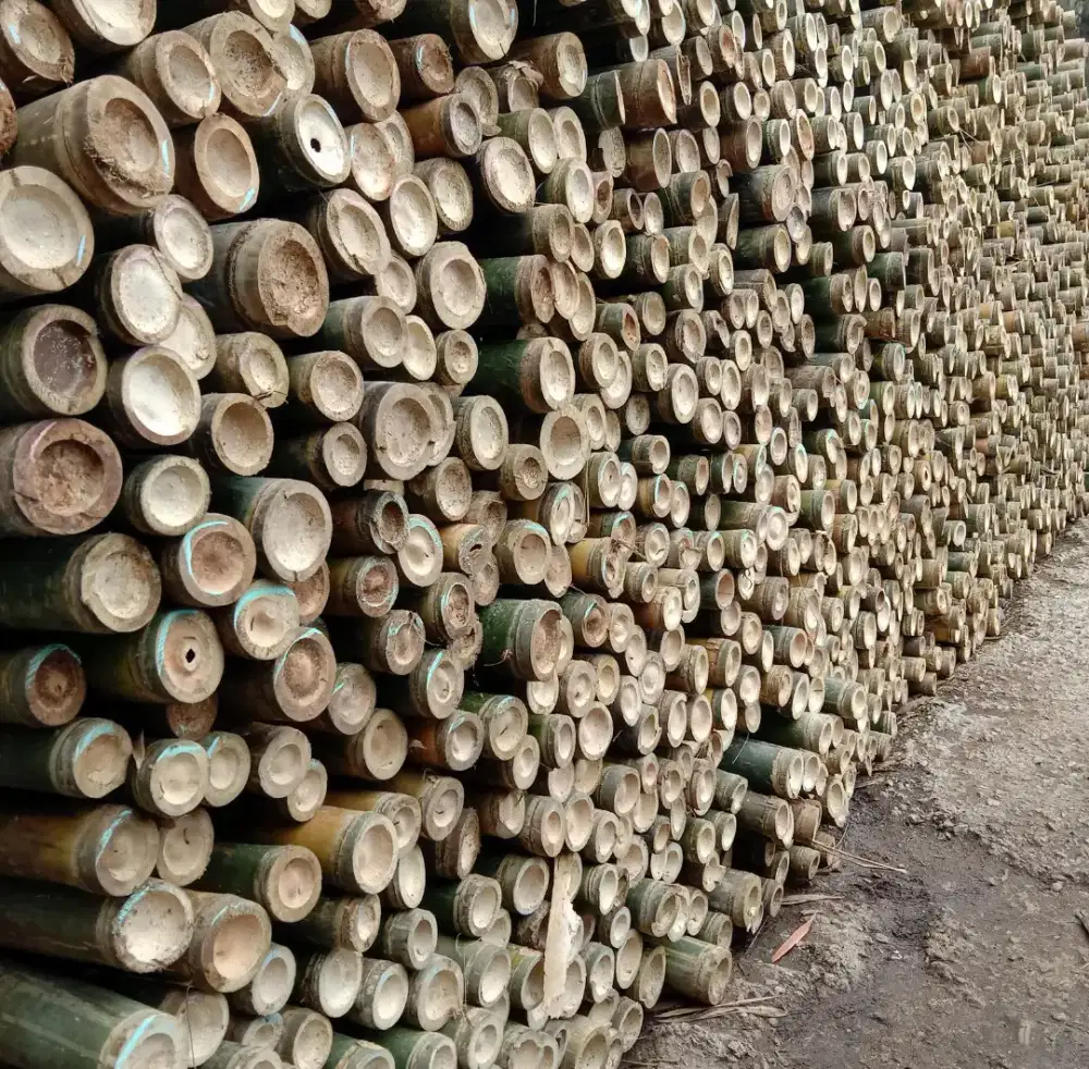 Jual bambu steger 6 meter