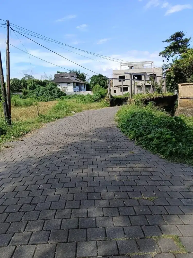 Tanah kaw villa view laut,sawah hanya 200mtr ke pantai ketewel gianyar